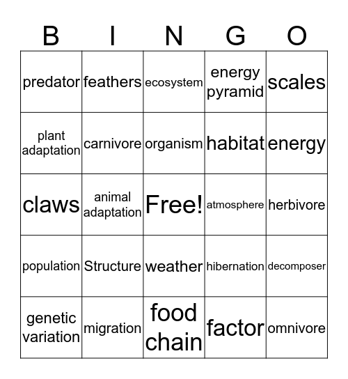 Ecosystem Bingo Card