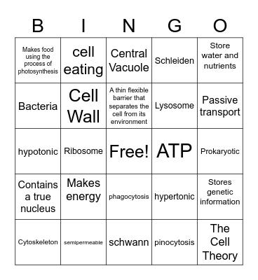 Cell biology Bingo Card