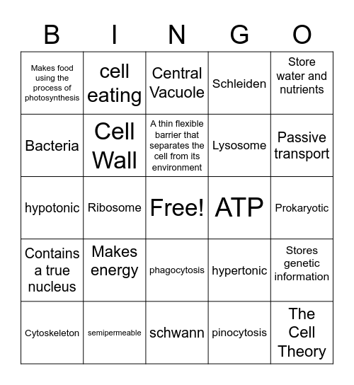 Cell biology Bingo Card