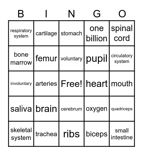 Human Body Bingo! Bingo Card