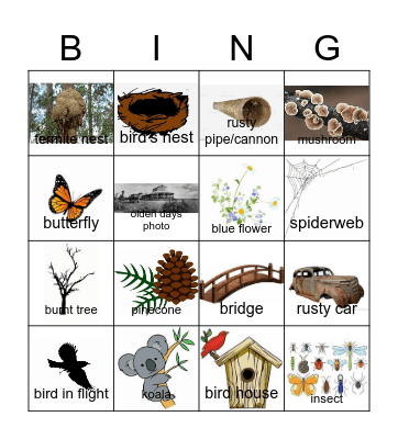 Ashwin's Grey Wolf Hike Nature Bingo Card