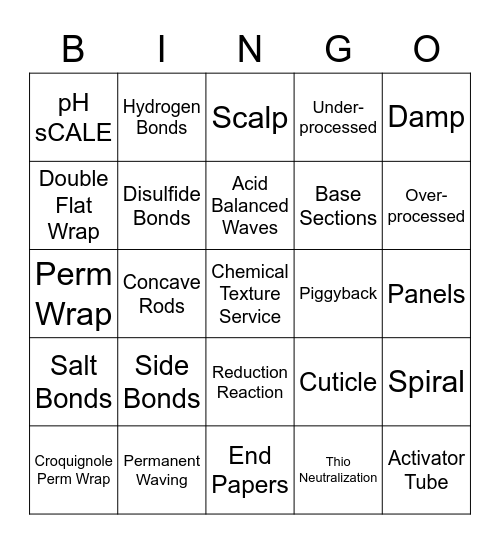 CH. 20 CHEMICAL TEXTURE SERVICES-PERMS Bingo Card