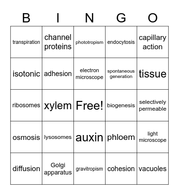 Biology Unit Review Bingo Card