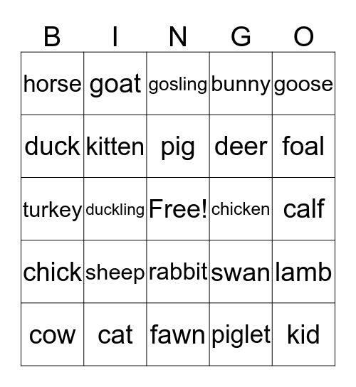 Animal Bingo Card