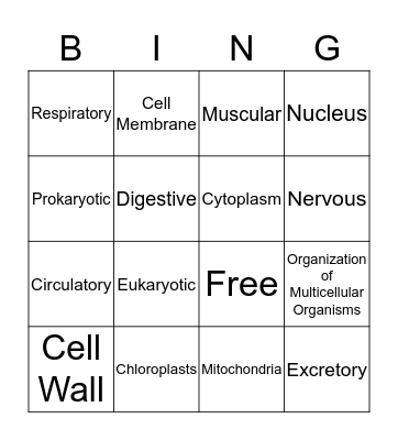 Test Study Guide Bingo Card