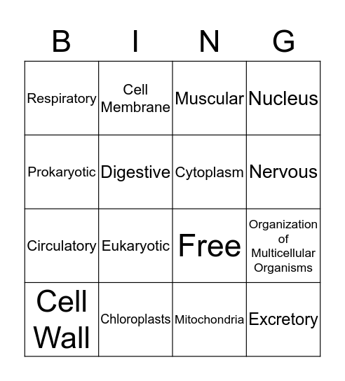 Test Study Guide Bingo Card