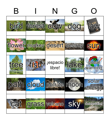 La naturaleza Bingo Card