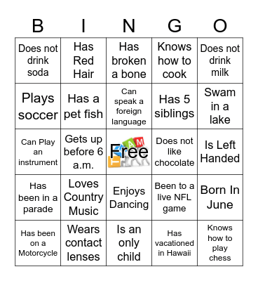 Break The Ice Bingo Card