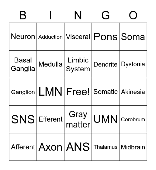 Neuroanatomy Bingo Card