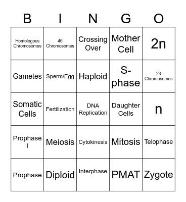 Cell Division 2223 STJ Bingo Card
