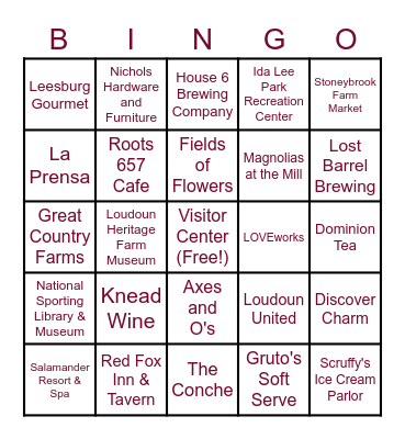 Loudoun Bingo Card
