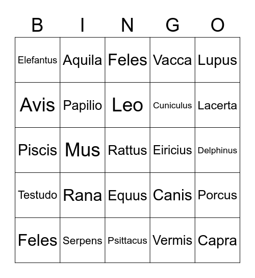 Latin Animal Bingo Card