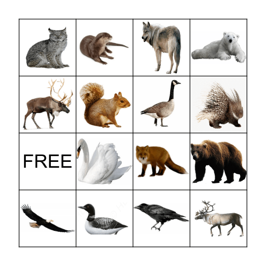 Animal Bingo Card