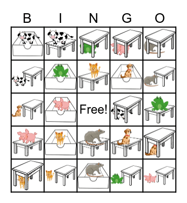 Where is the animal? Bingo Card
