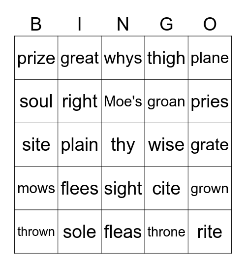 homophones Bingo Card
