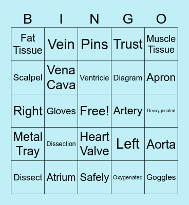 Heart Dissection Bingo Card