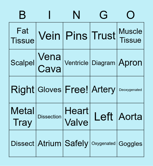 Heart Dissection Bingo Card