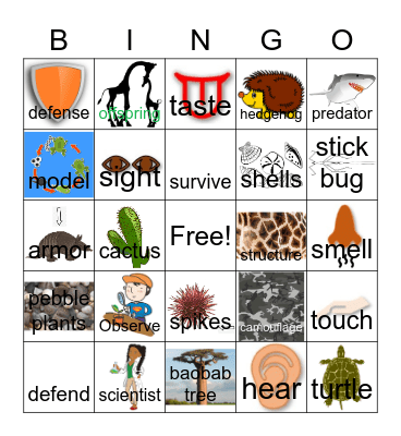 Plant and Animal Defenses Bingo Card