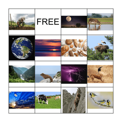 Psalm 104 Bingo Card