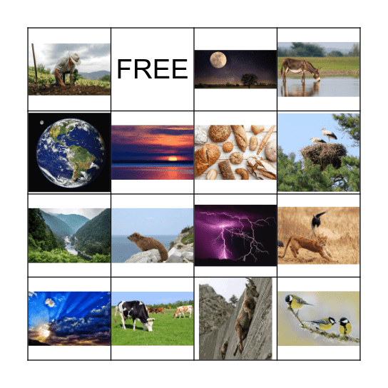 Psalm 104 Bingo Card