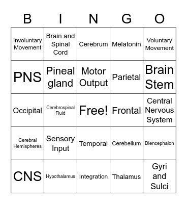 Nervous System 1 Bingo Card
