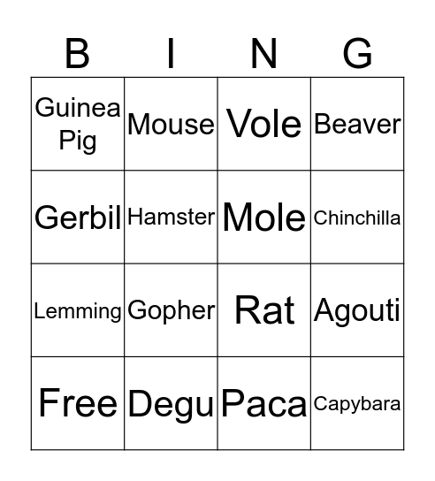 Rodents! Bingo Card