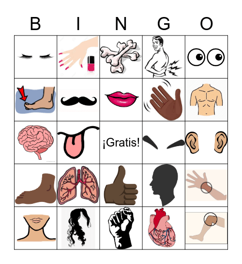 P.6 EL CUERPO (IMAGENES) Bingo Card