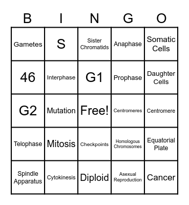 Mitosis Bingo Card