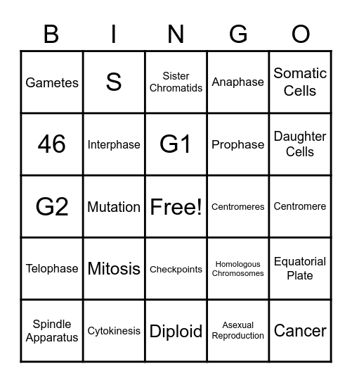 Mitosis Bingo Card