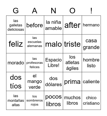 Spanish 1 Bingo Card