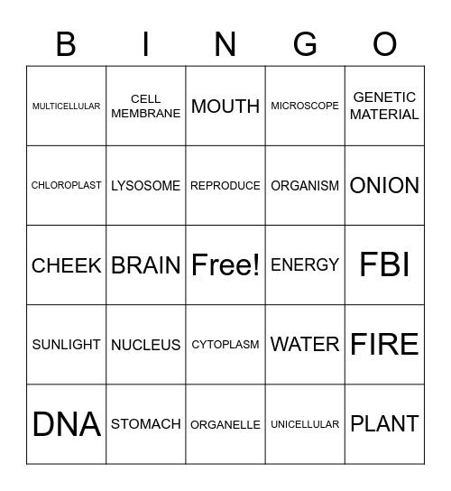 Generation Genius: Plant & Animal Cells Bingo Card