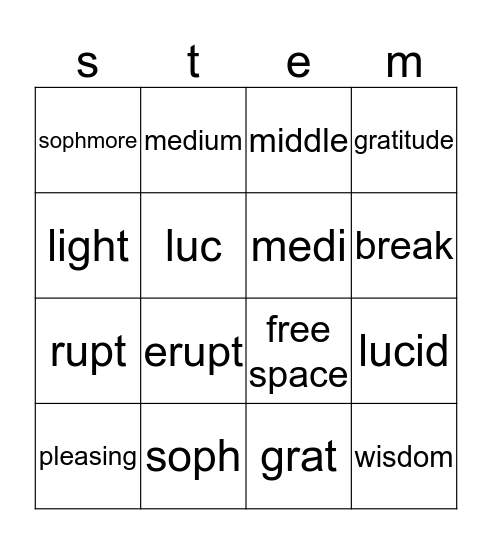 Stem #9 Bingo Card