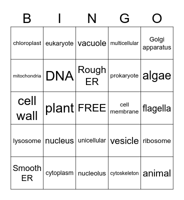 Cell Structures Bingo Card