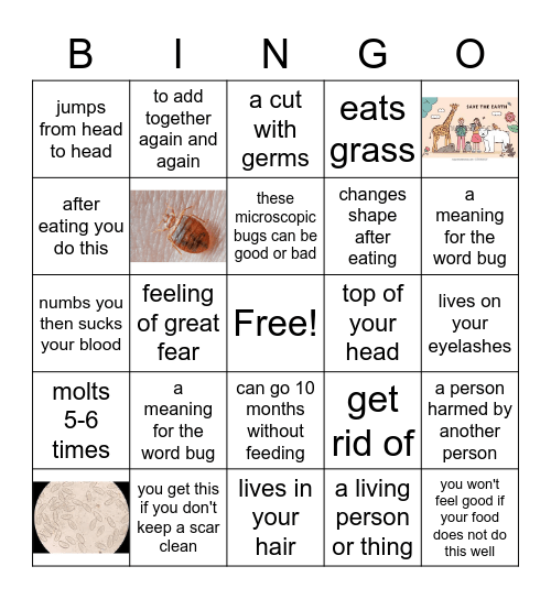 Unit 8 How Bugs Bug Us Vocabulary Bingo Card
