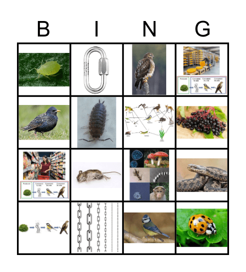 Eten en gegeten worden Bingo Card