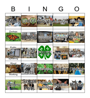 4-H Projects BINGO Card