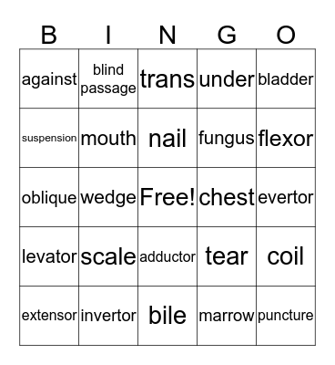 Medical Terminology & Anatomy Lesson 5 Bingo Card