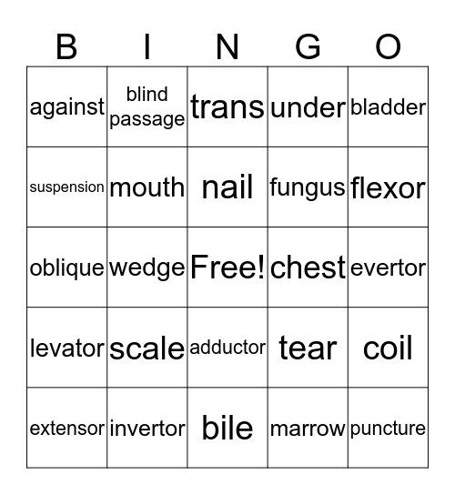 Medical Terminology & Anatomy Lesson 5 Bingo Card