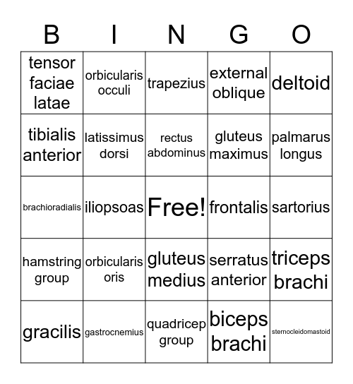 Muscle Bingo Card