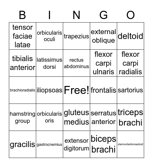 Muscle Bingo Card