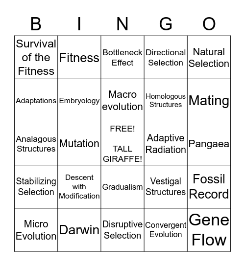 Evolution Bingo! Bingo Card