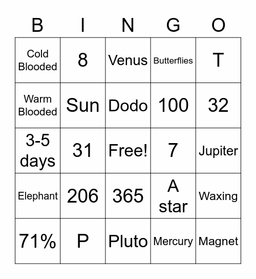 Fern's Bingo Card