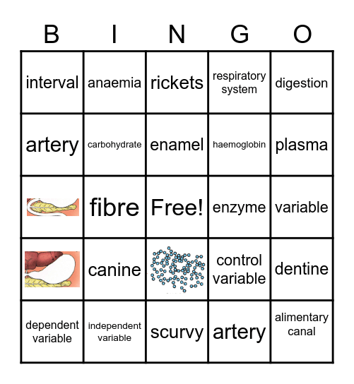 Nutrients and Blood Bingo Card