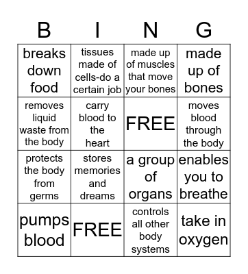 Body Systems   4th Grade Bingo Card