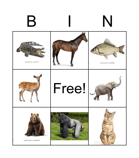 zoophonics bingo Card