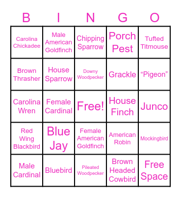 Debbie’s Backyard Bird Bingo Card