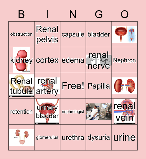 The Urinary System Bingo Card