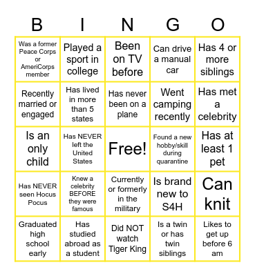 Virtual Icebreaker Bingo Card