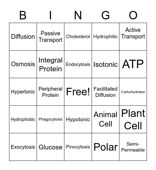 Unit 3 Review - Cell Transport Bingo Card