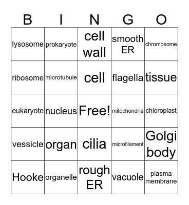 Organelle Bingo Card